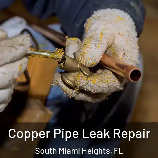  Copper Pipe Leak Repair South Miami Heights, FL