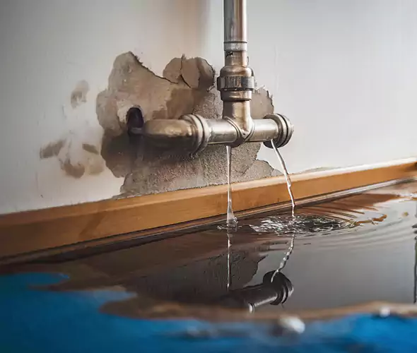 Professional Water Damage Restoration Experts in South Miami Heights, FL — Fast, Reliable & Certified