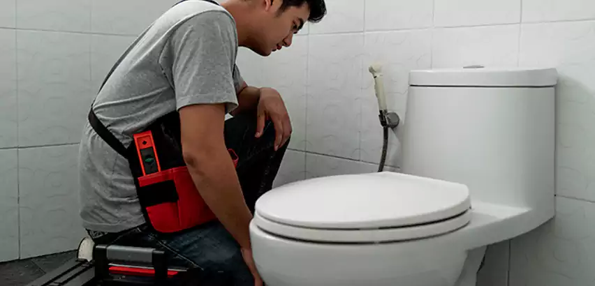 Toilet Repair in South Miami Heights