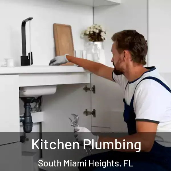  Kitchen Plumbing South Miami Heights, FL