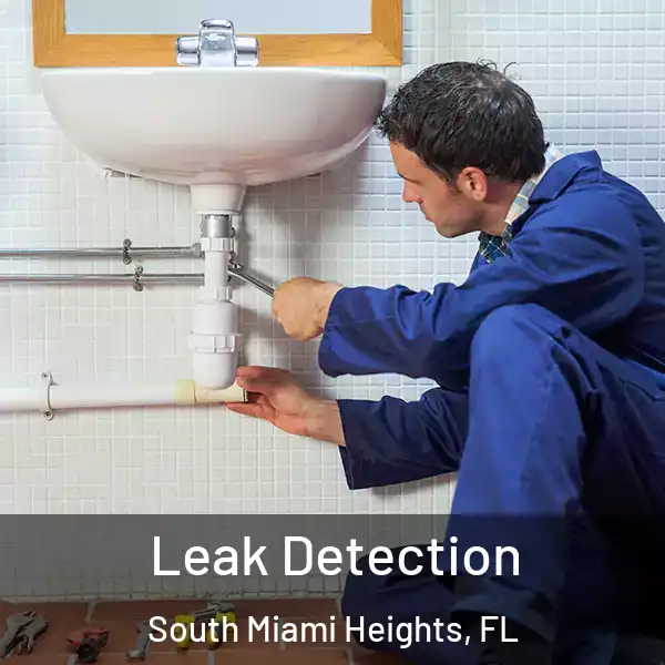  Leak Detection South Miami Heights, FL
