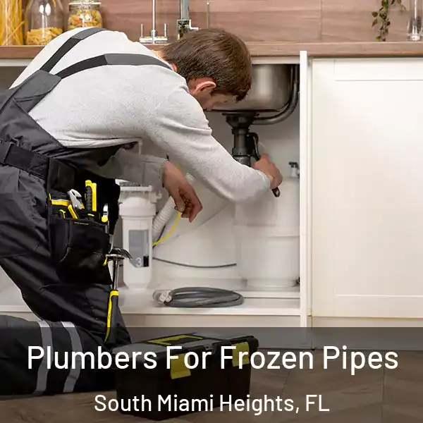  Plumbers For Frozen Pipes South Miami Heights, FL