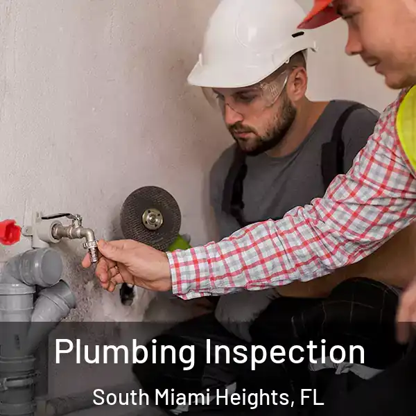  Plumbing Inspection South Miami Heights, FL