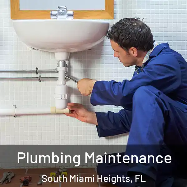  Plumbing Maintenance South Miami Heights, FL