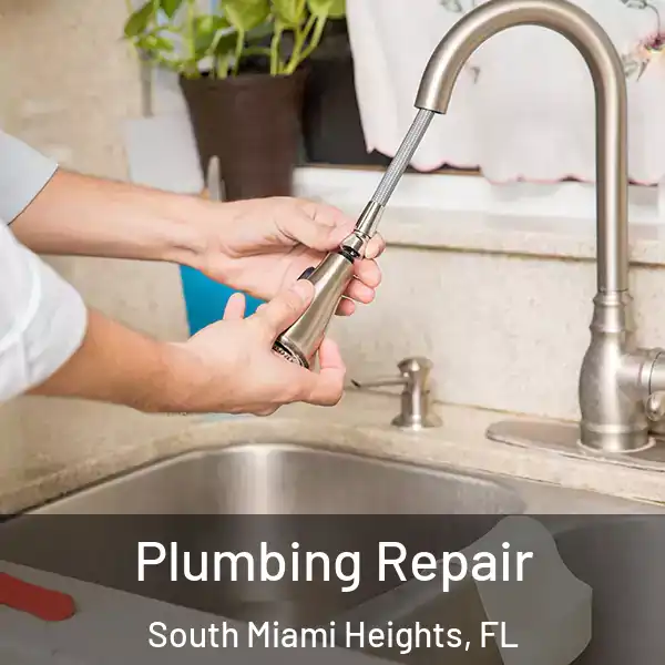  Plumbing Repair South Miami Heights, FL
