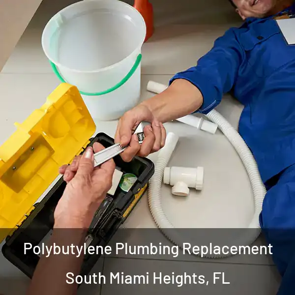  Polybutylene Plumbing Replacement South Miami Heights, FL