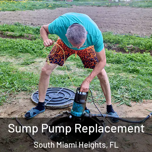  Sump Pump Replacement South Miami Heights, FL