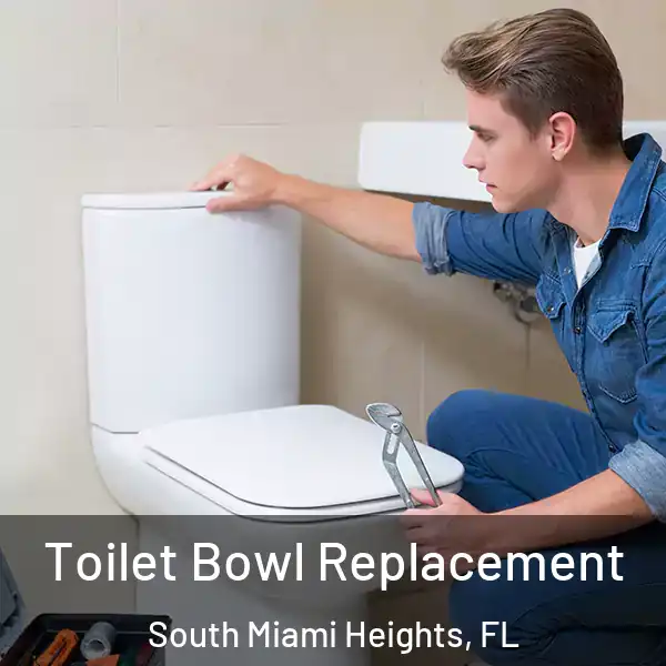  Toilet Bowl Replacement South Miami Heights, FL