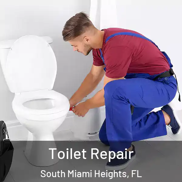  Toilet Repair South Miami Heights, FL