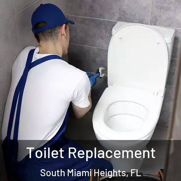  Toilet Replacement South Miami Heights, FL