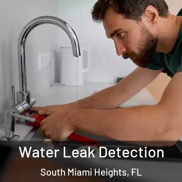  Water Leak Detection South Miami Heights, FL
